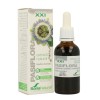 extracto de pasiflora sxxi 50 ml