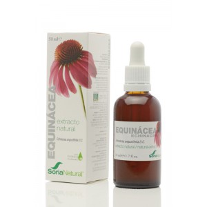 extracto de equinacea sxxi 50 ml